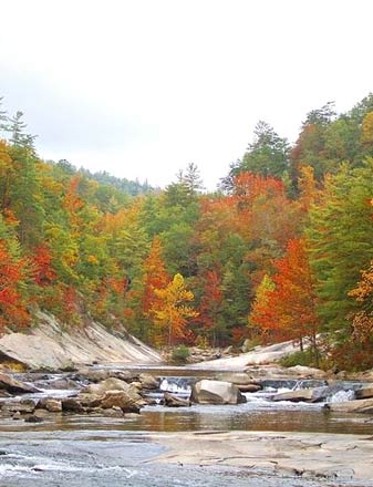 North Carolina Villas