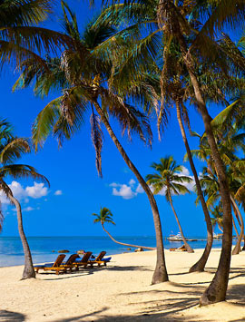 Florida Vacation Homes