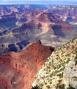 Arizona