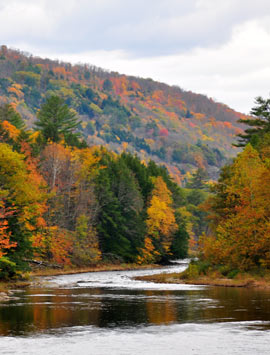 New England