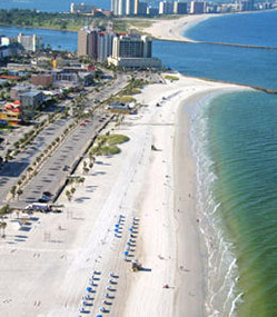 Tampa Bay Area