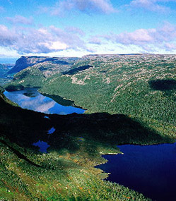 Newfoundland